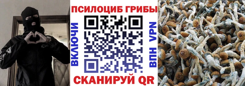 Галлюциногенные грибы Cubensis  Тимашёвск 